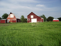Red Farm Buildings