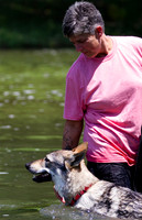Czechoslovakian Vlciak  dog  swimming