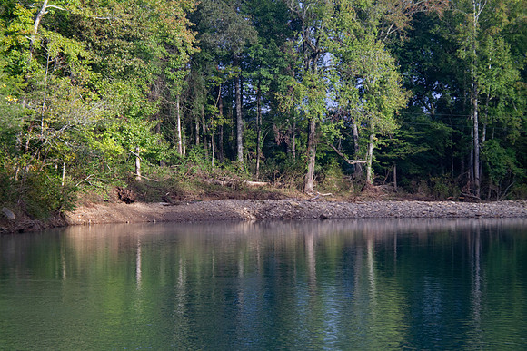 Reflections of trees in blue water
