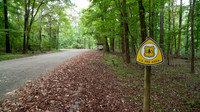 Ozark, Arkansas, Ozark-St. Francis National Forests, Redding Cam