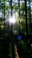 Woman walks a dog in deep forest with sunlight