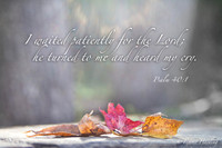 Autumn Leaves ethereal bokeh background