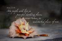 Bible verse Isaiah 32:18 Peaceful dwelling