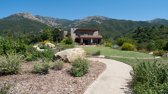 Santa Barbara Botanical Garden walking path with wildflowers and