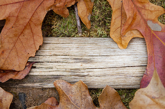Thanksgiving background with autumn leaves and rustic wood