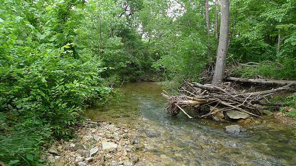 Drury-Mincy Conservation Area