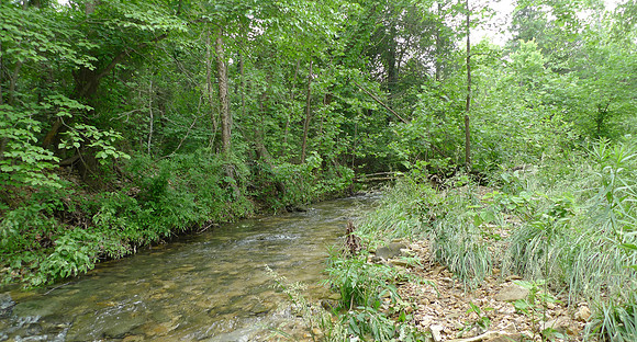 Drury-Mincy Conservation Area