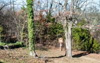 Tenkiller State Park, Oklahoma, Tenkiller Lake and Dam