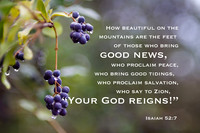 Bible verse Isaiah 52:7 with nature background and berries with