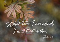 Psalm 56:3, what time I am afraid, I will trust in thee