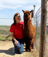 Alpacas of the Heartland