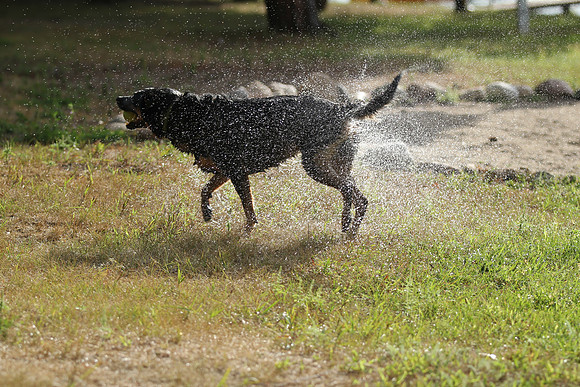 Summer fun