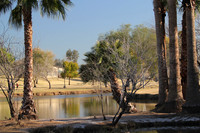 Eldorado Park, Scottsdale