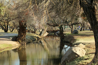 Eldorado Park, Scottsdale