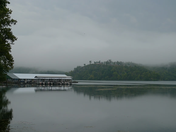 Misty green