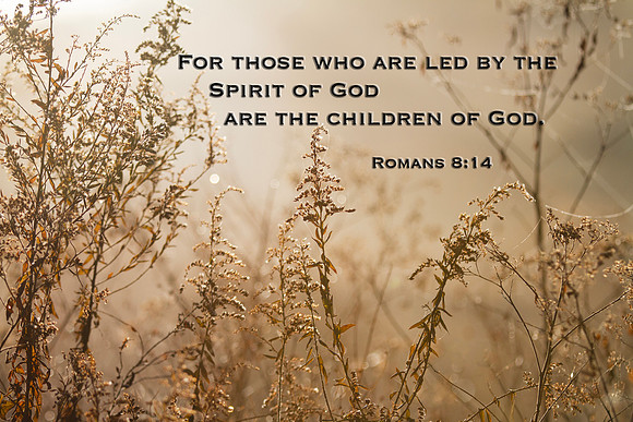 Romans 8:14 Bible Verse