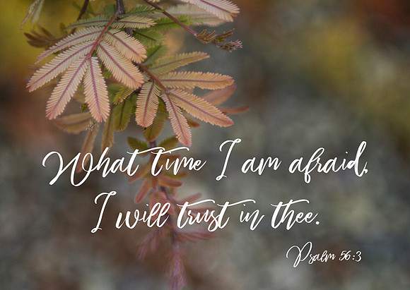 Psalm 56:3, what time I am afraid, I will trust in thee