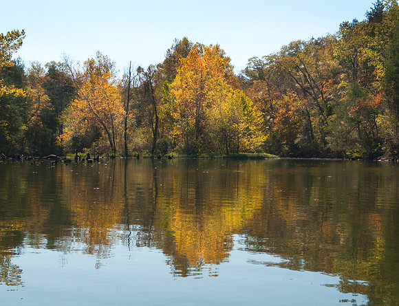 Reflections