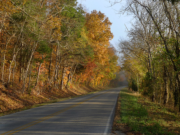 Autumn road