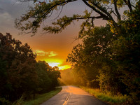 Sunbeams on a forest road at dawn with misty fog and trees