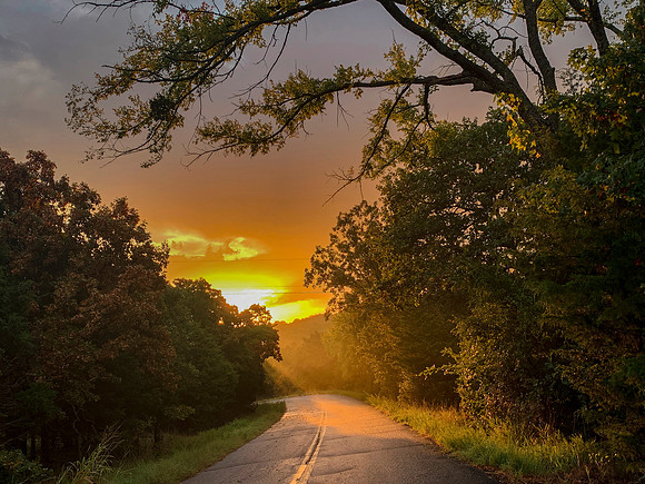 Sunbeams on a forest road at dawn with misty fog and trees