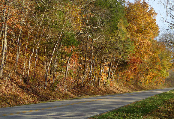 Ozark Fall Foliage