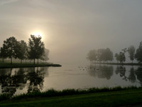 Mist