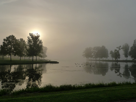Mist