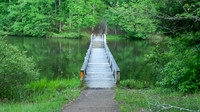 Foot bridge over the lake and stairway in the forest