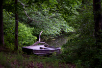 Boat on the bank of the water with forest