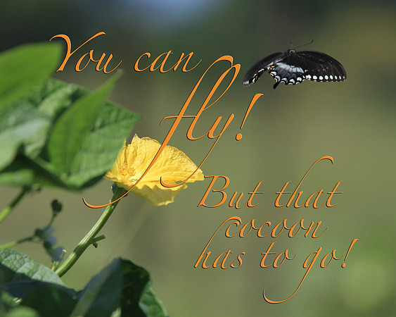 You can fly 16x20