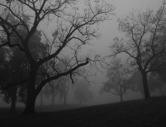 Foggy Missouri