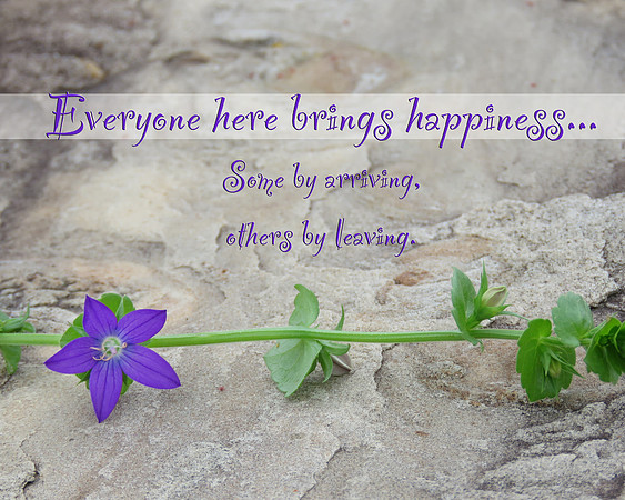 Happiness... 8x10 or 16x20