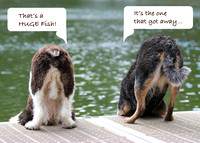 Fishing Dogs