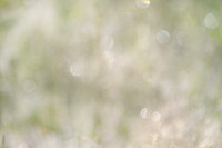 Light background with bokeh