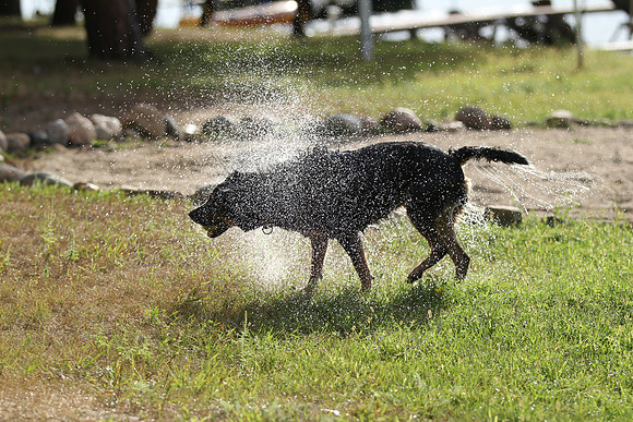 Spray!