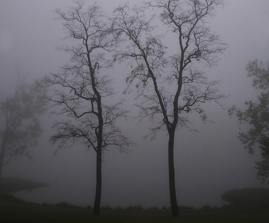 Foggy Missouri