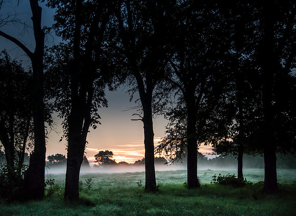 A new day has dawned