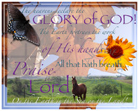 The Creator
