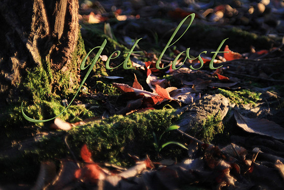forest floor get lost