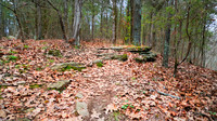 Mountain scenery in Northwest Arkansas