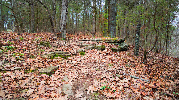 Mountain scenery in Northwest Arkansas