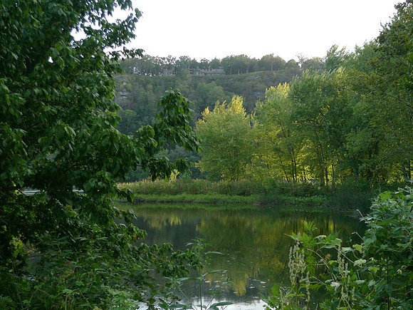 The pond, full summer