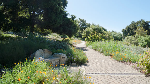 Santa Barbara Botanical Garden walking path and stone bench