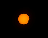2024 Solar Eclipse, New Blaine, Arkansas