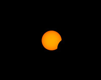 2024 Solar Eclipse, New Blaine, Arkansas