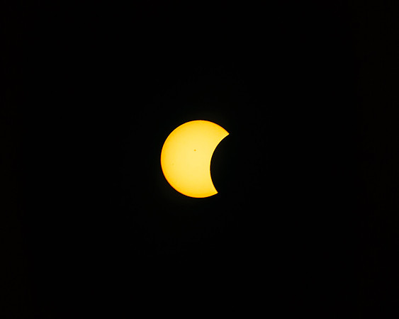 2024 Solar Eclipse, New Blaine, Arkansas