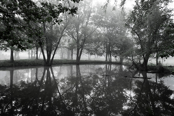 Pond 12x18