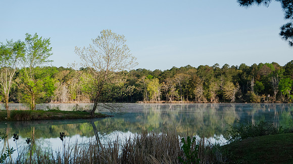 Lake scene with jetty