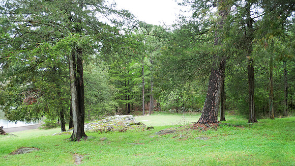 Scenic edge of the forest at Shoal Bay, Northwest Arkansas